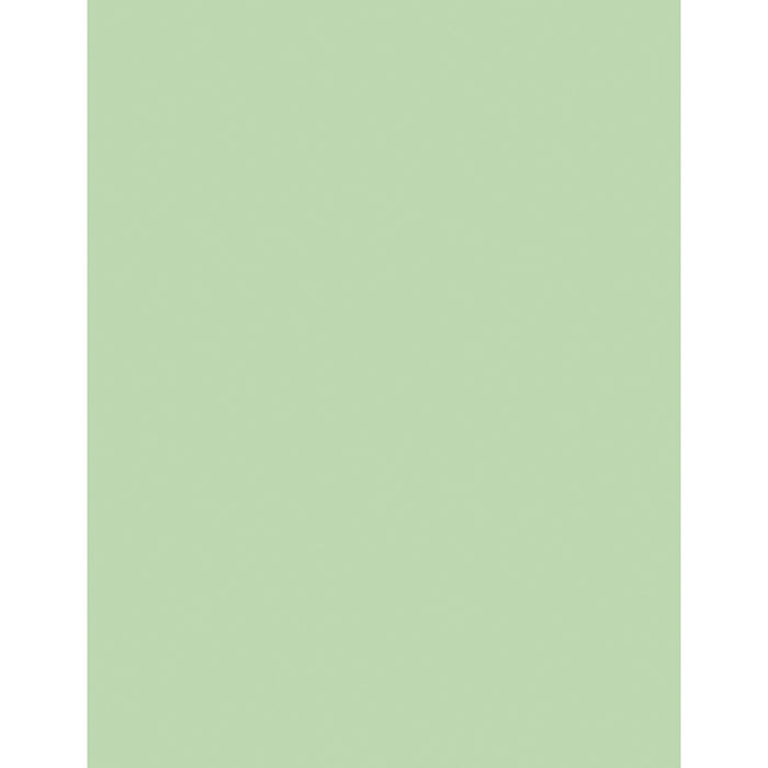 Sparco DP 20lb Copy Paper Pastel Green 8.5 x 14