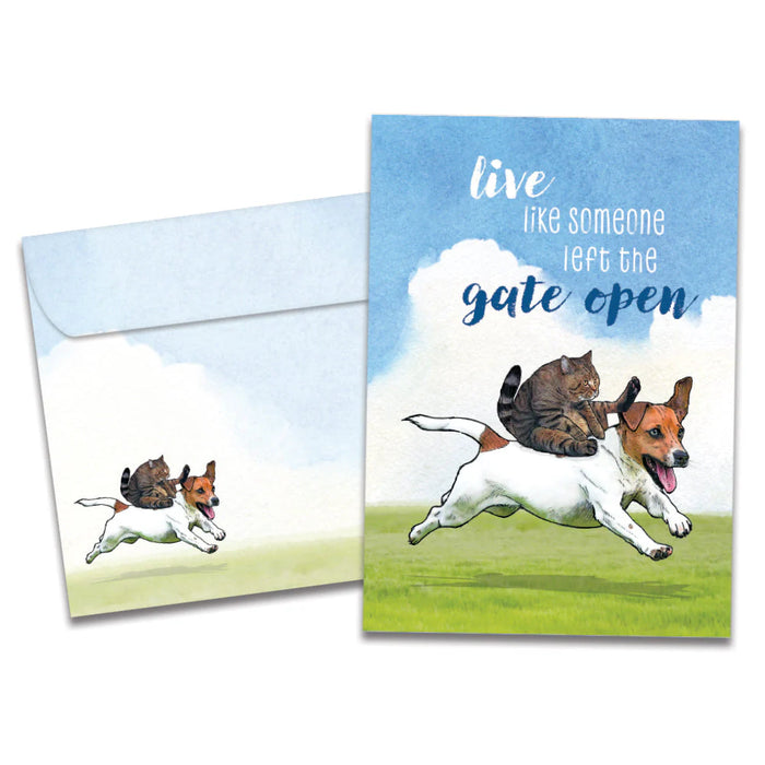 Gate Left Open Birthday Greeting Card [22104]