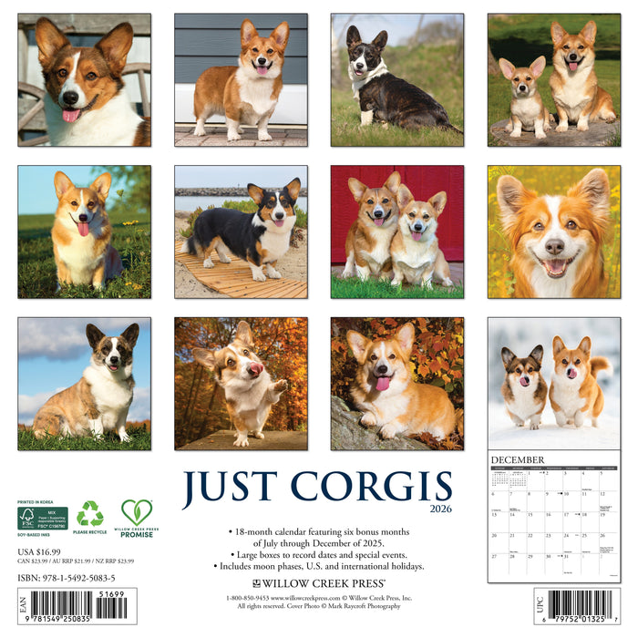 Corgis 2026 12" x 12" Wall Calendar