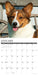 Corgis 2026 12" x 12" Wall Calendar