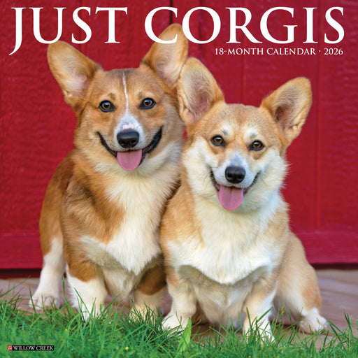 Corgis 2026 12" x 12" Wall Calendar