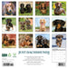 Dachshunds 2026 12" x 12" Wall Calendar