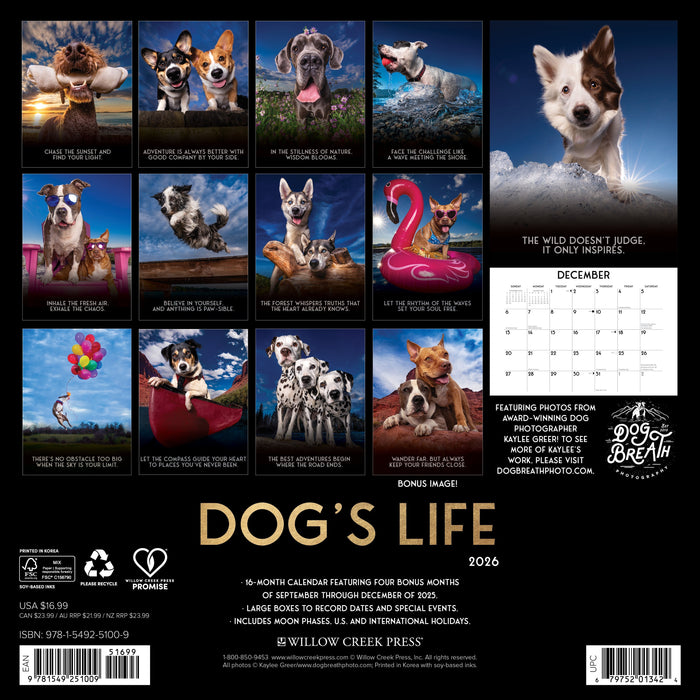 Dog's Life 2026 12" x 12" Wall Calendar