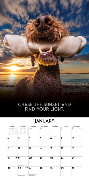 Dog's Life 2026 12" x 12" Wall Calendar