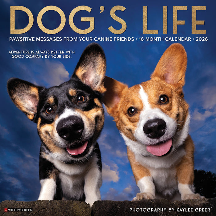 Dog's Life 2026 12" x 12" Wall Calendar