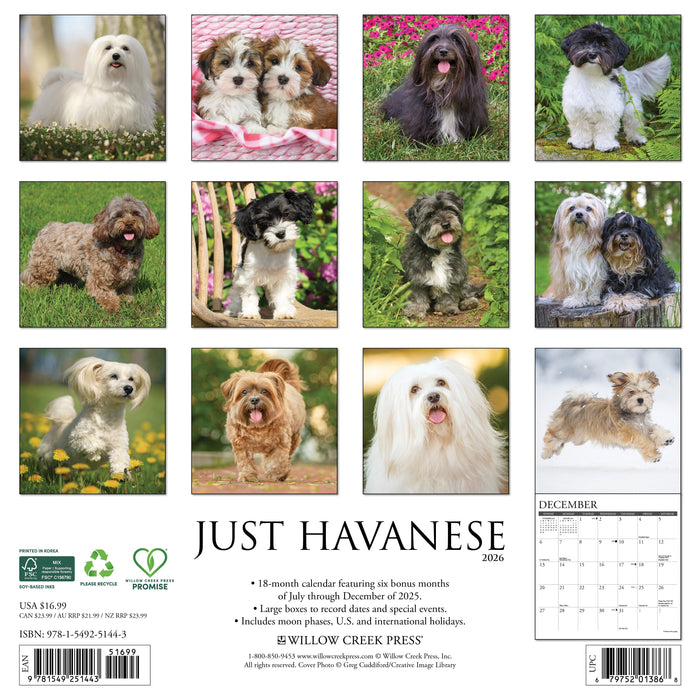 Havanese 2026 12" x 12" Wall Calendar