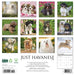 Havanese 2026 12" x 12" Wall Calendar