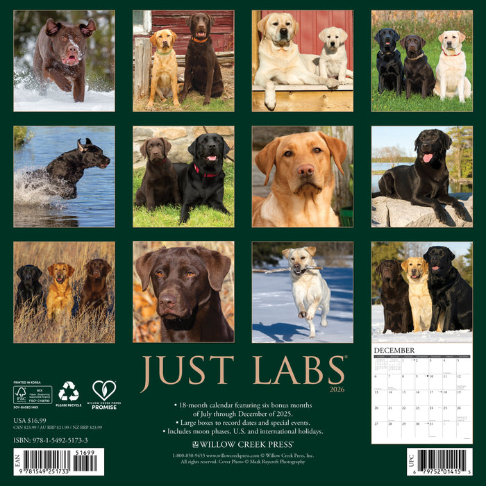 Labs 2026 12" x 12" Wall Calendar