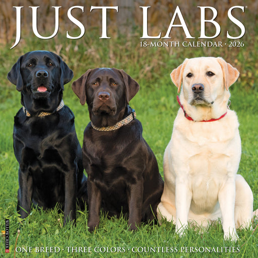 Labs 2026 12" x 12" Wall Calendar