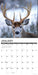 Monster Bucks 2026 12" x 12" Wall Calendar