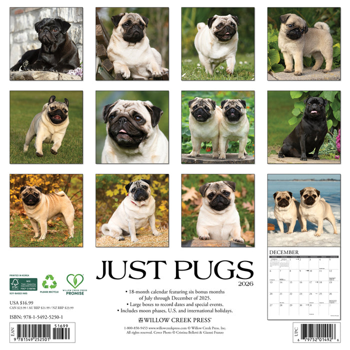 Pugs 2026 12" x 12" Wall Calendar
