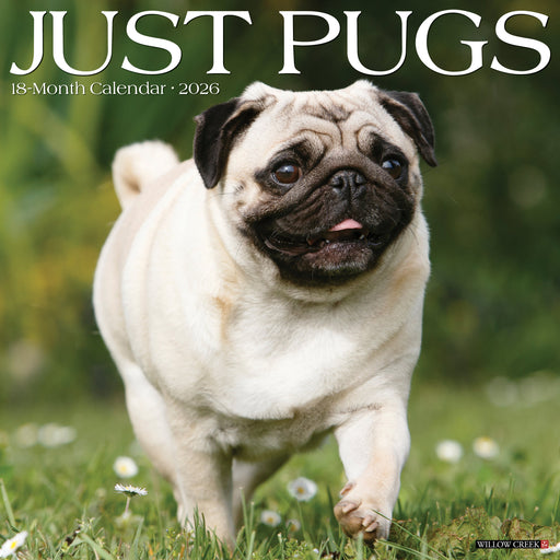 Pugs 2026 12" x 12" Wall Calendar