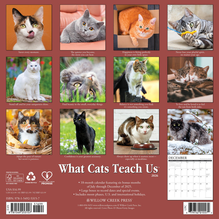 What Cats Teach Us 12" x 12" 2026 Wall Calendar