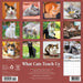 What Cats Teach Us 12" x 12" 2026 Wall Calendar