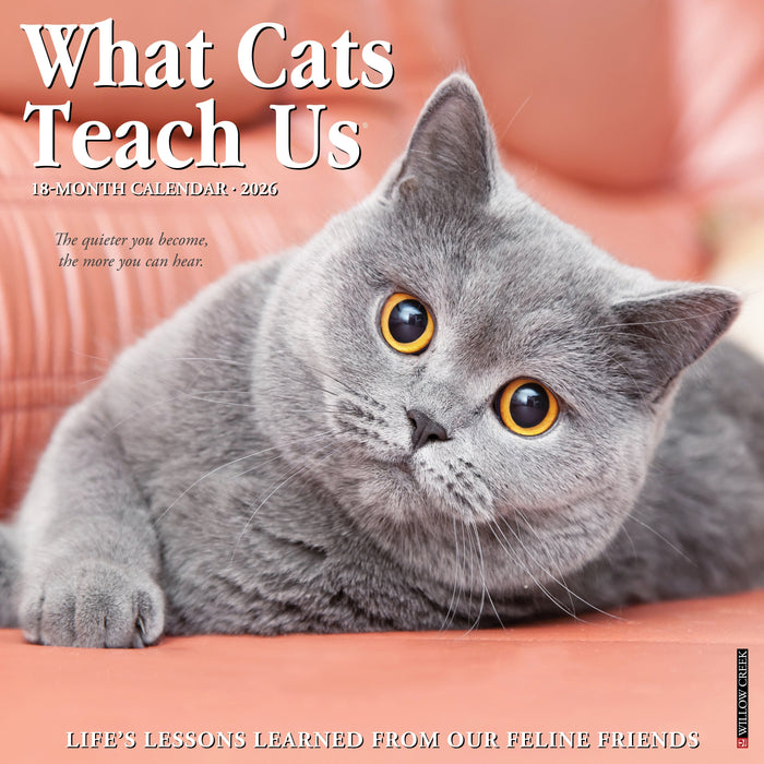 What Cats Teach Us 12" x 12" 2026 Wall Calendar