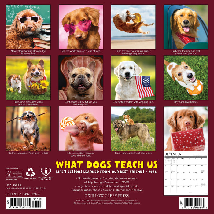 What Dogs Teach Us 12" x 12" 2026 Wall Calendar