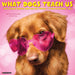 What Dogs Teach Us 12" x 12" 2026 Wall Calendar