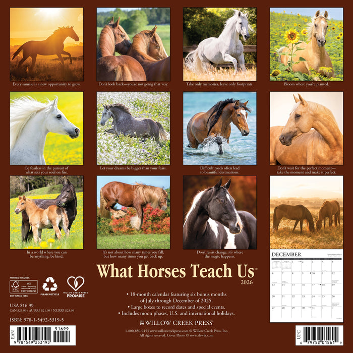 What Horses Teach Us 12" x 12" 2026 Wall Calendar