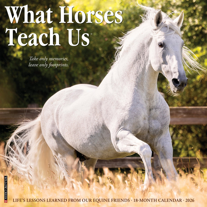 What Horses Teach Us 12" x 12" 2026 Wall Calendar