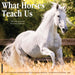What Horses Teach Us 12" x 12" 2026 Wall Calendar