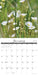 Wildflowers 12" x 12" 2026 Wall Calendar