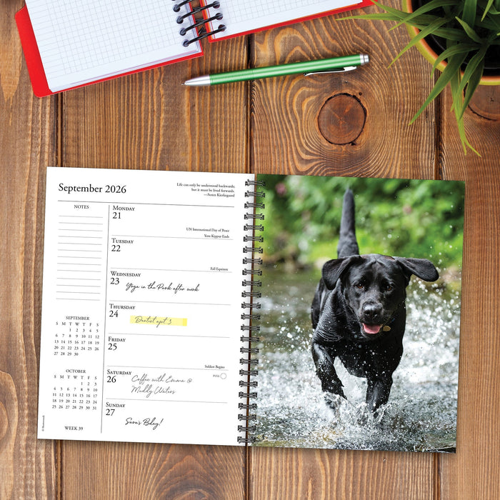 What Labs Teach Us 2026 6.5" x 8.5" Engagement Calendar