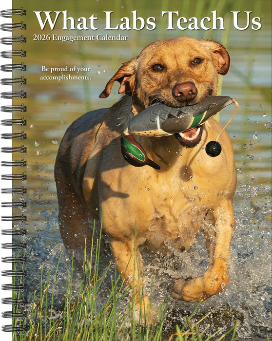 What Labs Teach Us 2026 6.5" x 8.5" Engagement Calendar