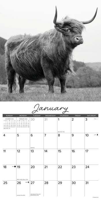 Highland Cows (B&W) 2026 12" x 12" Wall Calendar