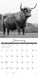 Highland Cows (B&W) 2026 12" x 12" Wall Calendar