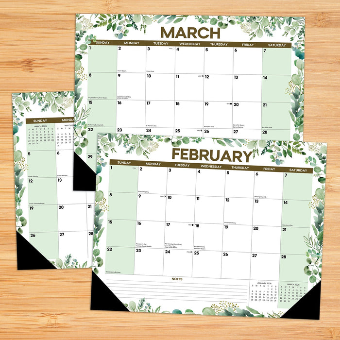 Eucalyptus 2026 22" x 17" Large Monthly Desk Pad