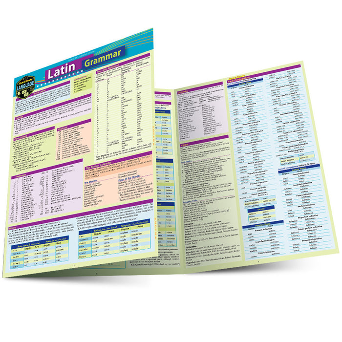 QuickStudy | LATIN GRAMMAR [236511]