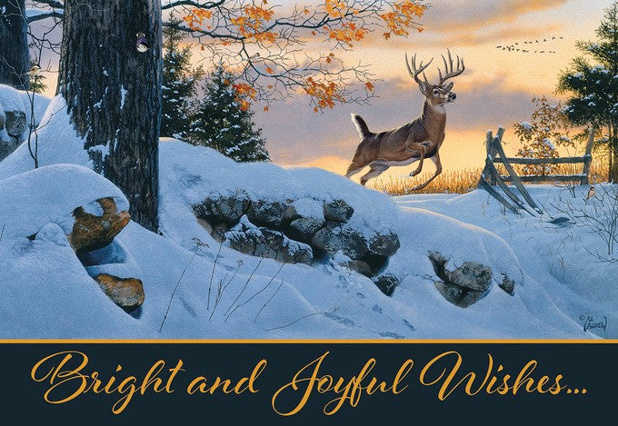 Christmas Greeting Card [CCC40147001]