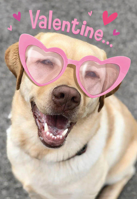 Valentine Greeting Card [VDT40126401]