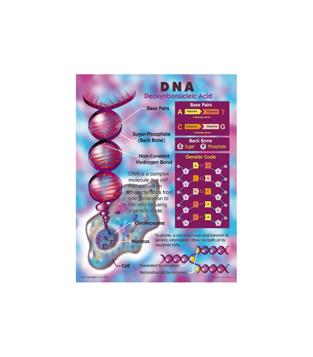 DNA CHART 17x22 [CD5925]