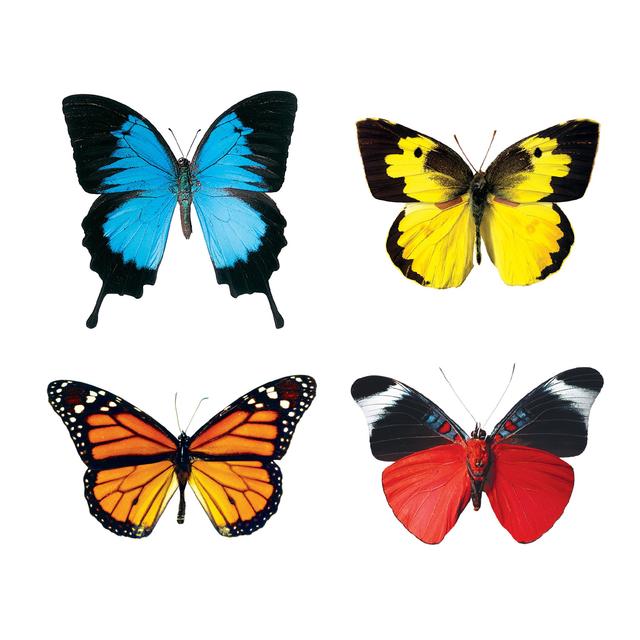 Butterflies/Mini Var/Pack [T10835] (D)