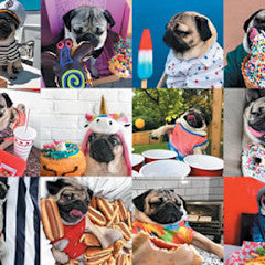 Doug the Pug: Pug Life 1000-Piece Puzzle [48185]