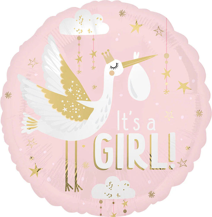 Special Delivery Baby Girl Satin 18 Inch Foil Mylar Balloon [46968]