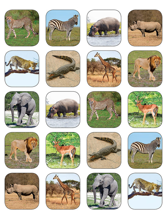 Safari Animals Stickers [TCR5468]