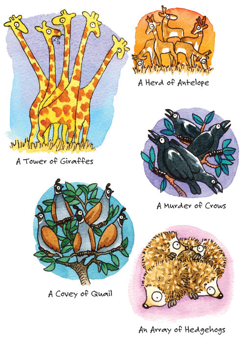 Animal Herd Birthday Greeting Card [2317BD]