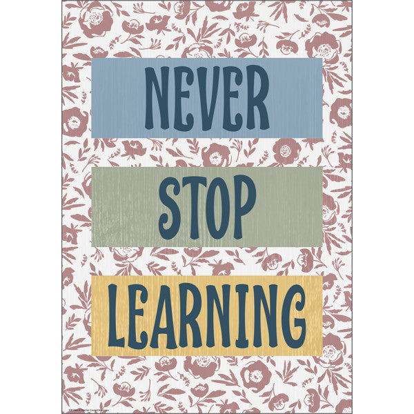 Never Stop Learning Positive Poster [TCR7886]