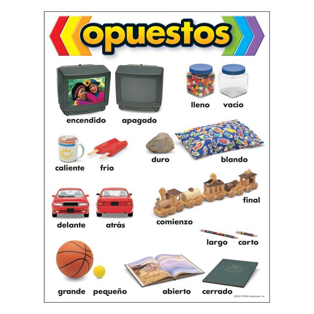 Opuestos (Spanish) Chart 17x22  (D) [T38510]