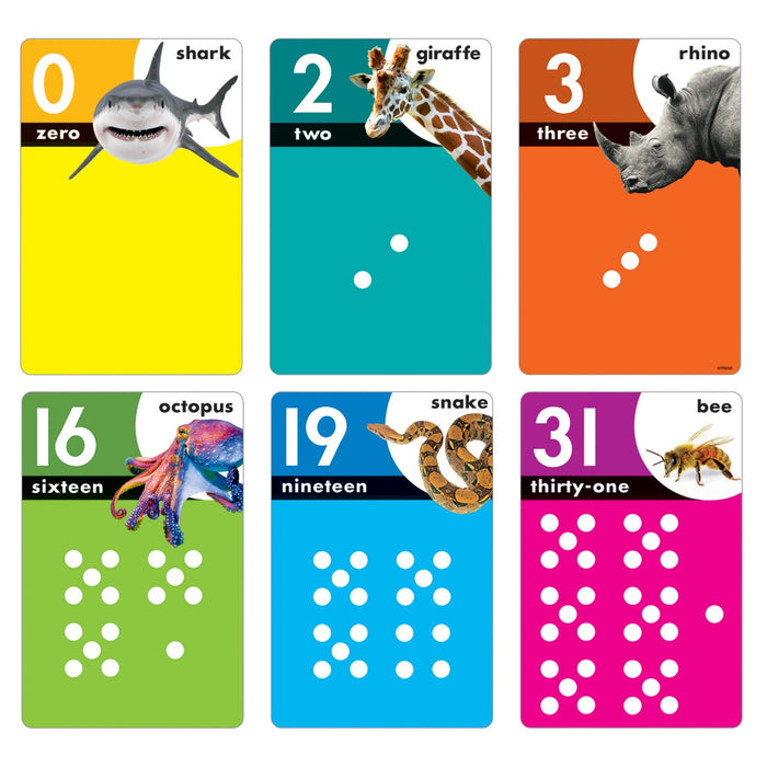 Animals Count 0-31 Learning Set [T19008]