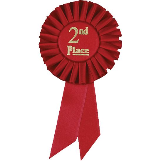 Second Place Ribbon 6 inches long  by 3.5 inches wide 2nd Place Red Ribbon [AU30316]