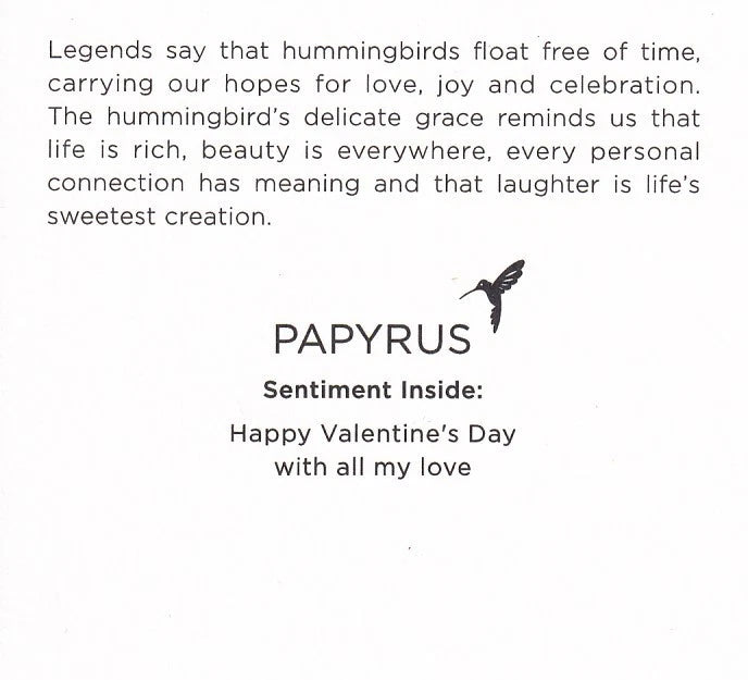 Life Adventure Valentine's Day Greeting Card [08570]