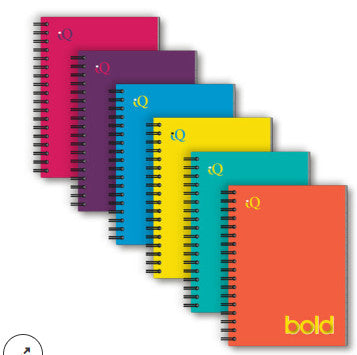 IQ BOLD FAT BOOK NOTEBOOK 5.5″ X 4″ [55200]