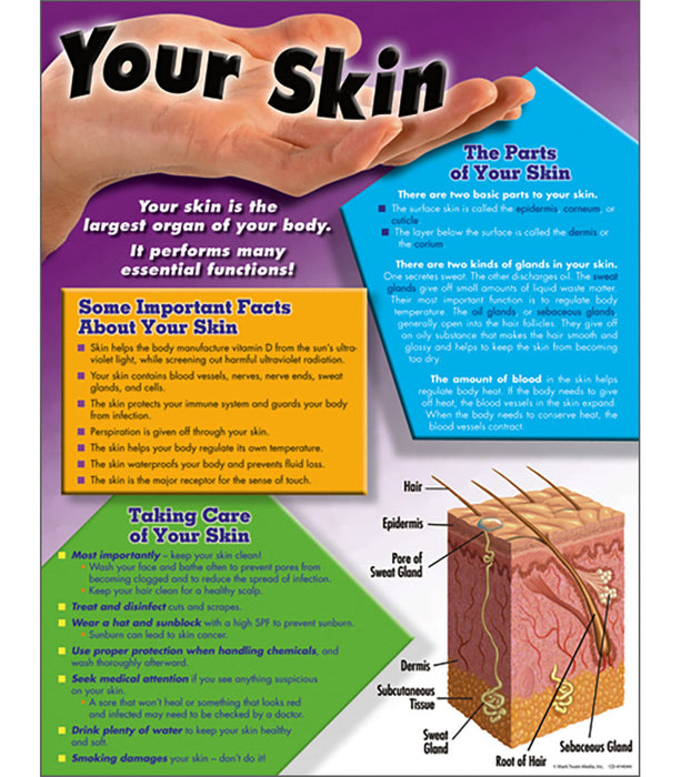 Your Skin  Learning Chart 17x22 [CD414044] [CD414044]
