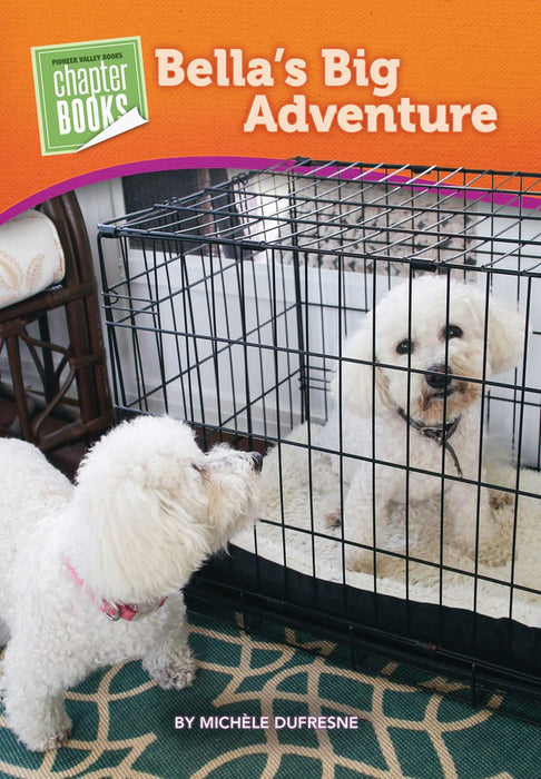 Bella's Big Adventure