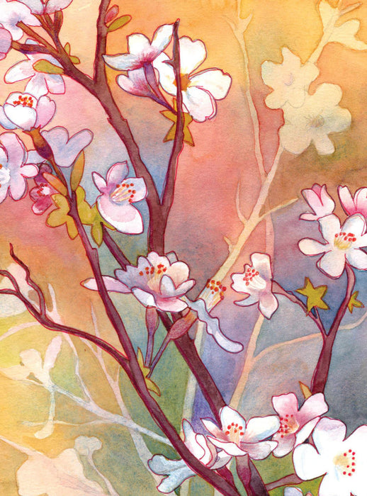 Cherry Blossoms Sunrise Card [3113TOY]