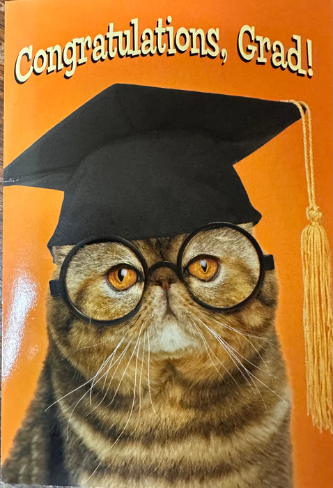 Congratulations Cat Graduation Greeting Card [GRT32101]